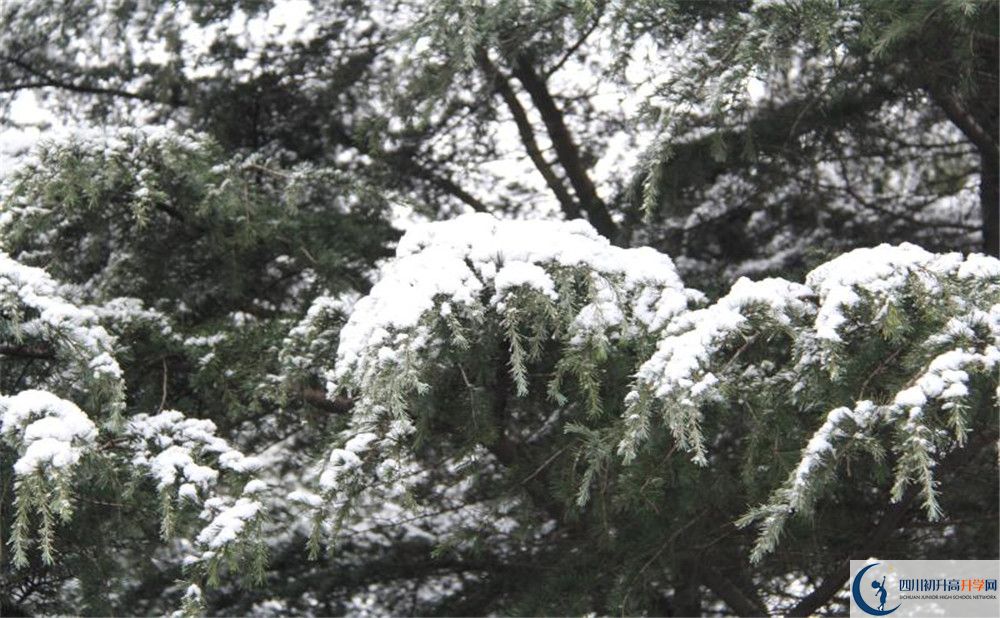 樹(shù)德博瑞實(shí)驗(yàn)學(xué)校電話(huà)號(hào)碼是多少？