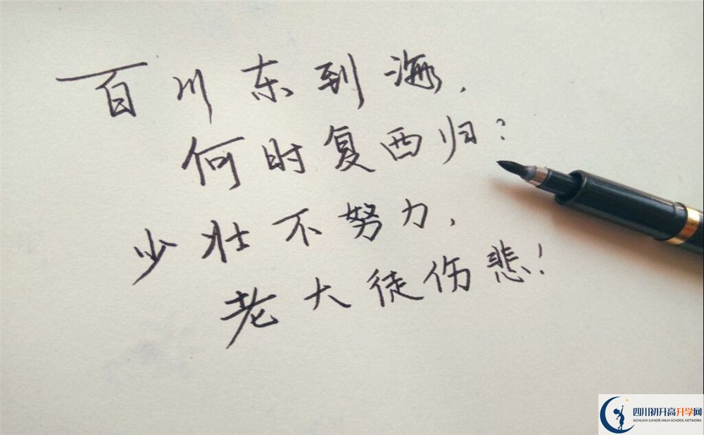2020年成都市外國語學校收費是多少？