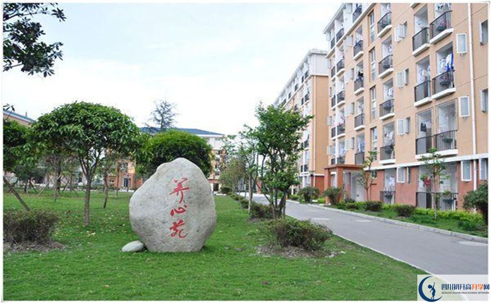 八一聚源高級(jí)中學(xué)2020年怎么樣？