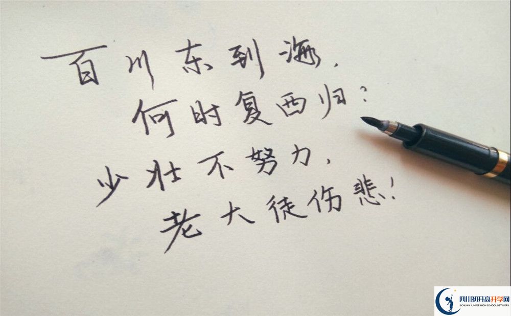 2023年成都市新津區(qū)實(shí)驗(yàn)高級(jí)中學(xué)收分多少，招生計(jì)劃是什么